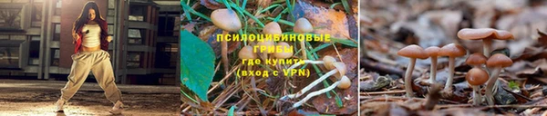 прущая мука Абаза