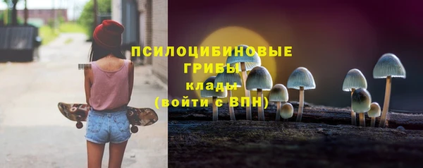 прущая мука Абаза